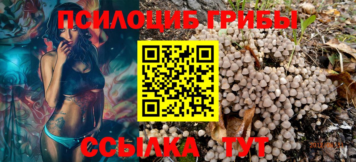 Галлюциногенные грибы мухоморы Торжок
