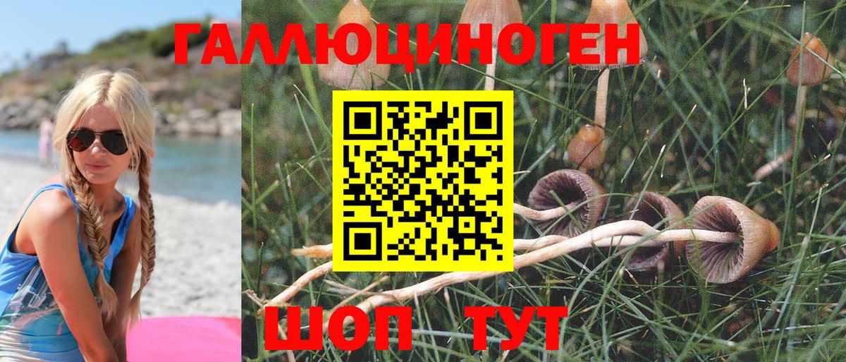 Псилоцибиновые грибы Magic Shrooms  Псилоцибиновые грибы Psilocybine cubensis  Торжок  Вход с VPN 