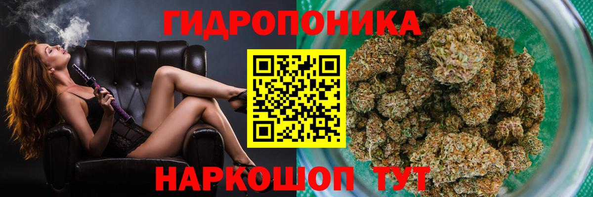 Шишки марихуана план  Конопля тримм  Торжок  Вход с VPN  Конопля LSD WEED  Каннабис сатива 
